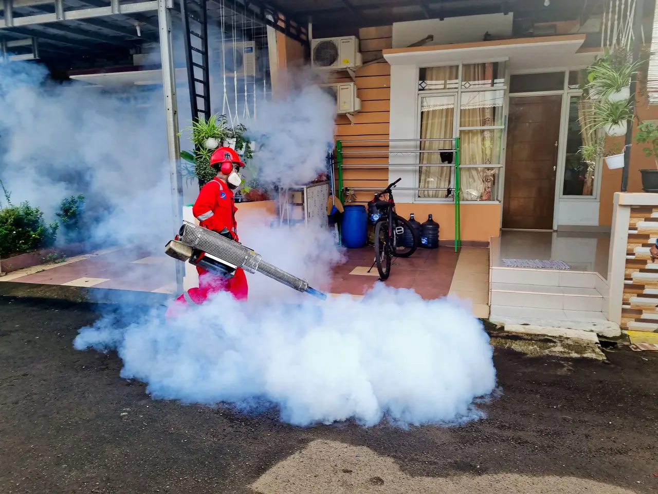 Fumigation Services in Plainview